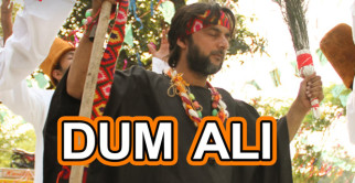 Dum Ali (Baankey Ki Crazy Baraat)