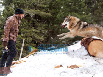 Tiger Zinda Hai