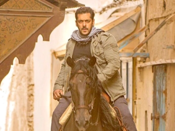 Tiger Zinda Hai