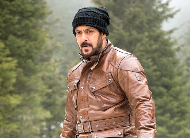 tiger zinda hai t shirt online shopping