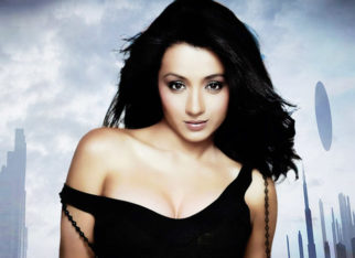 Trisha Krishnan LASHES out at fans who disrespect her co-actors