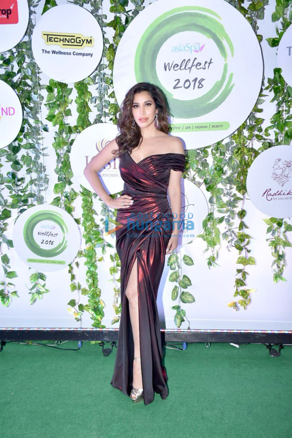 Sophie Choudry, Gauhar Khan, Ananya Pandey, Suniel Shetty and others the Wellfest awards 2018