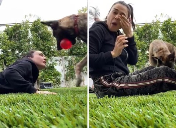 WATCH: Preity Zinta’s pet Bruno tries to sabotage her workout while Gene Goodenough tries to stop him