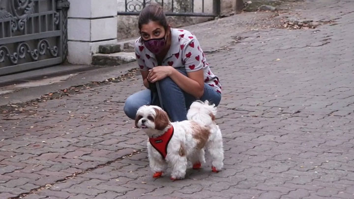 Sophie Choudry spotted with her pet dog Sophie Choudry spotted with her pet dog