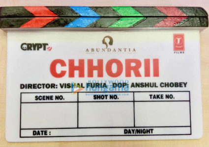 Chhorii Movie: Review | Release Date | Songs | Music | Images