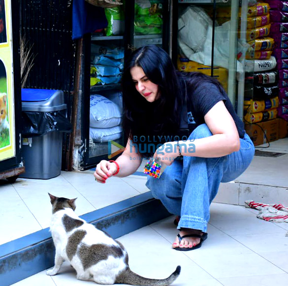 Photos: Zareen Khan spotted at a pet store Photos: Zareen Khan spotted at a pet store