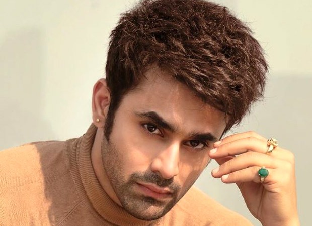 Pearl V Puri arrested in connection with the rape of a minor; Naagin co-star Anita Hassanandani stands in his support