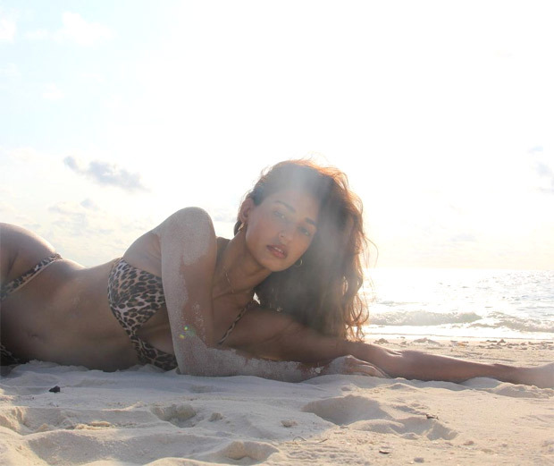 Disha Patani sets the temperature soaring whilst sensuously posing in leopard print skimpy bikini 