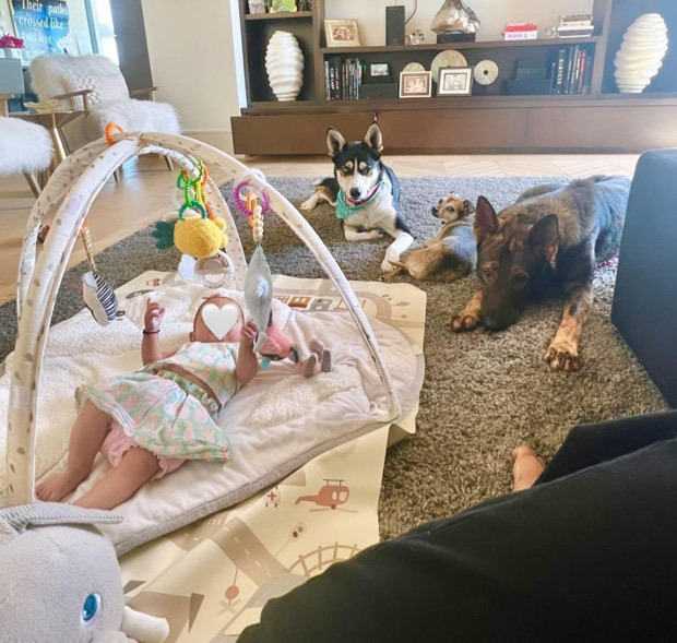 Priyanka Chopra shares adorable photos of her daughter Malti Marie with her pet dogs 